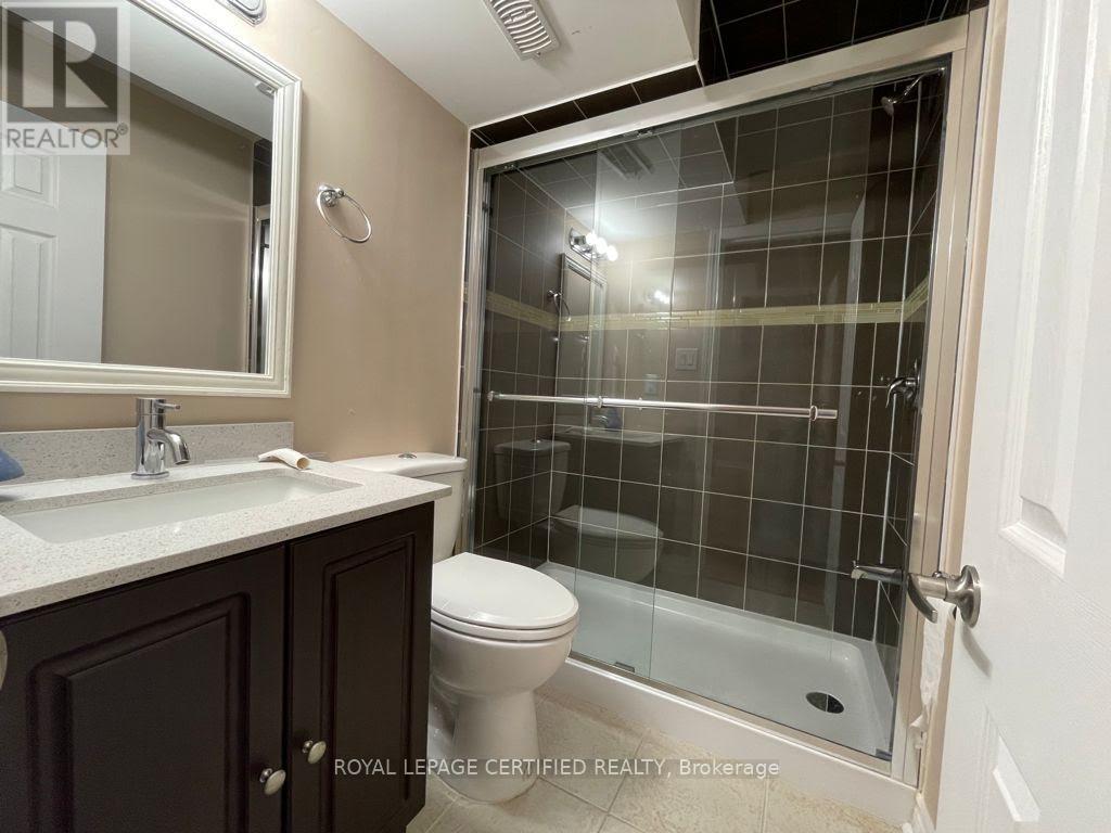 Basement - 169 Fennamore Terrace Nw, Milton, Ontario  L9T 0Y3 - Photo 14 - W12610724