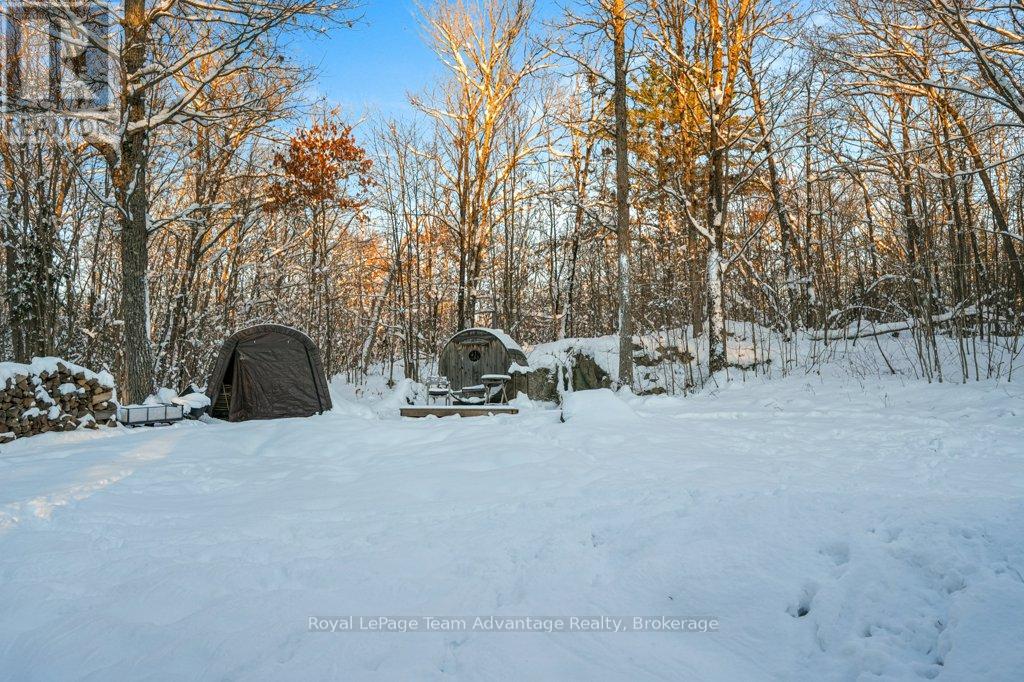 212 Star Lake Road, Seguin, Ontario  P2A 2W9 - Photo 30 - X12610808