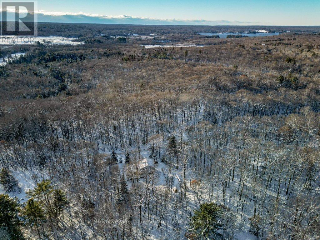 212 Star Lake Road, Seguin, Ontario  P2A 2W9 - Photo 36 - X12610808