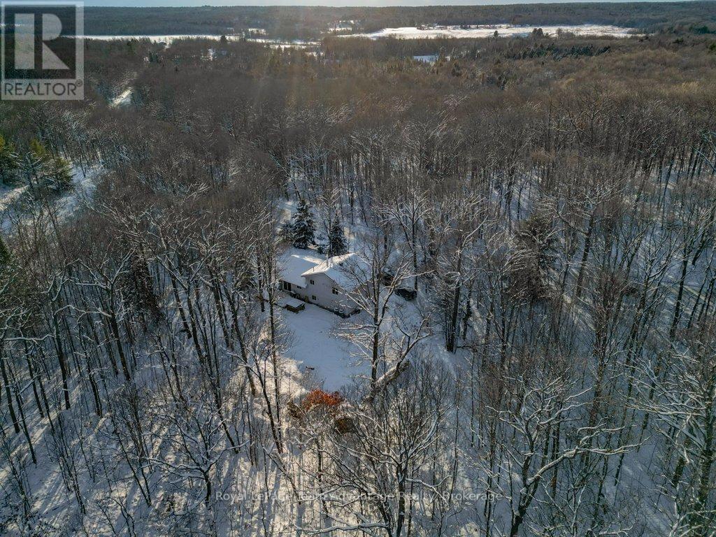 212 Star Lake Road, Seguin, Ontario  P2A 2W9 - Photo 48 - X12610808