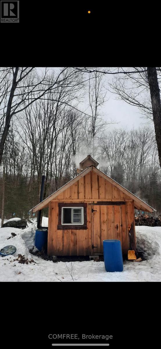 39 Raymond Road, Bracebridge, Ontario  P1L 1X4 - Photo 27 - X12610822