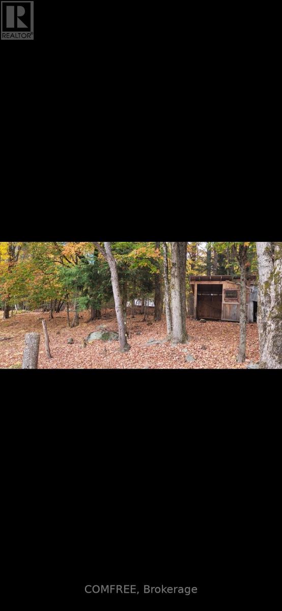 39 Raymond Road, Bracebridge, Ontario  P1L 1X4 - Photo 29 - X12610822