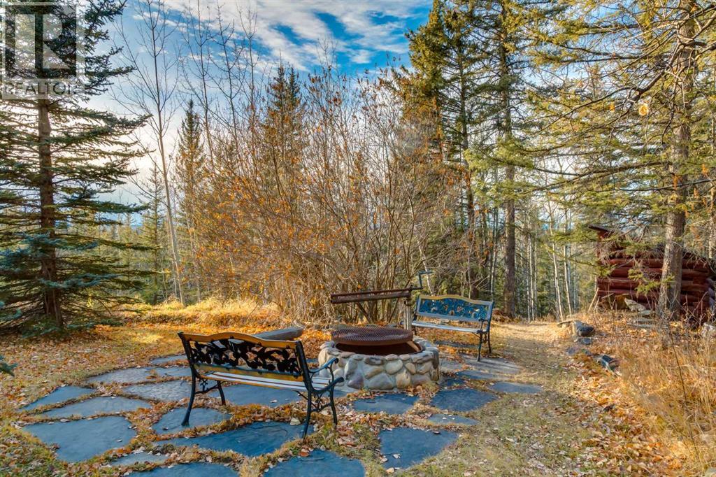 10, 32376 Highway 760, Rural Mountain View County, Alberta  T0M 1X0 - Photo 34 - A2271485