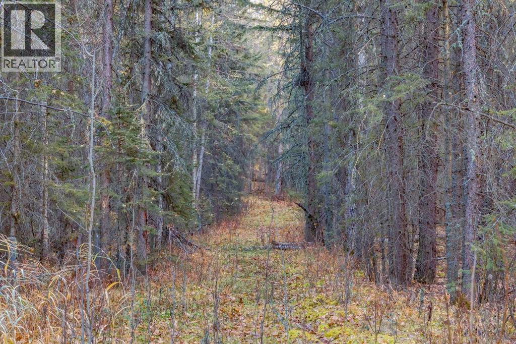 10, 32376 Highway 760, Rural Mountain View County, Alberta  T0M 1X0 - Photo 40 - A2271485