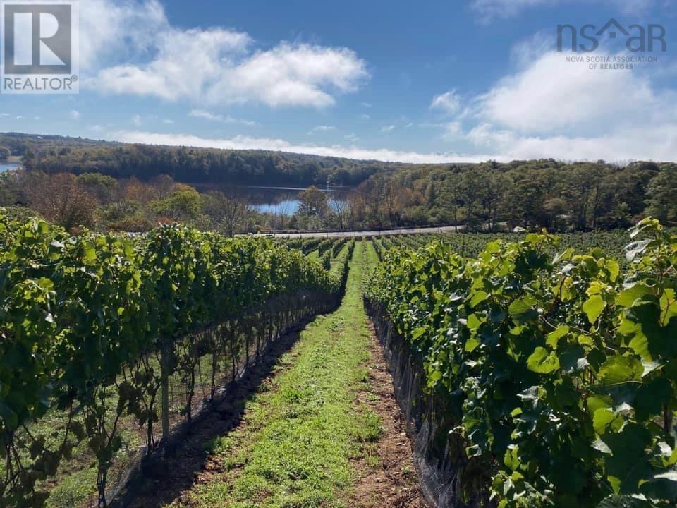 4113 Highway 340, Carleton, Nova Scotia  B5A 5N9 - Photo 1 - 202529196