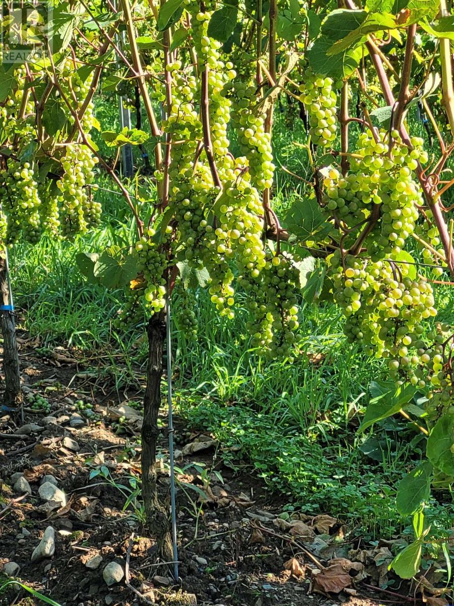 4113 Highway 340, Carleton, Nova Scotia  B5A 5N9 - Photo 33 - 202529196