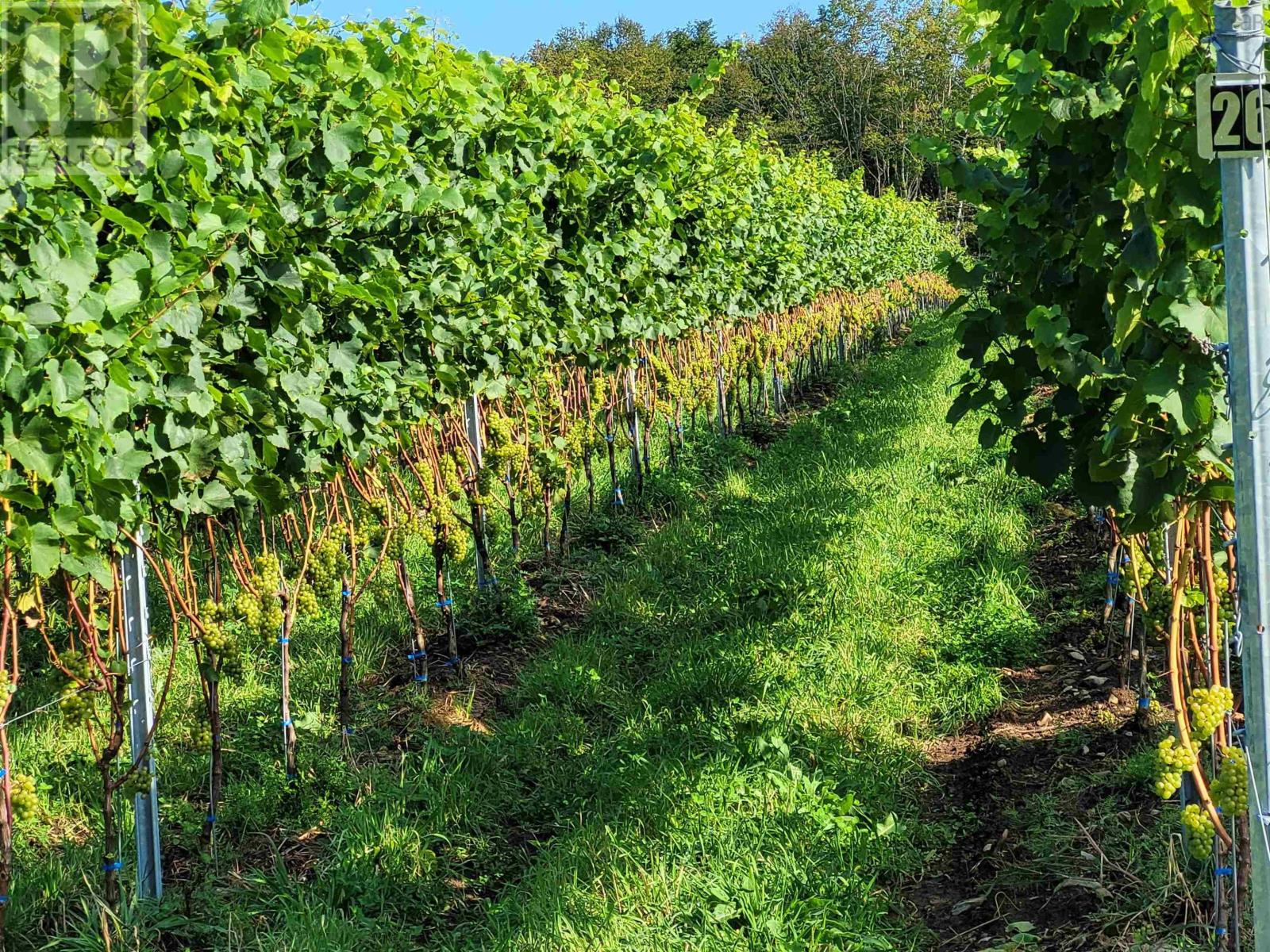 4113 Highway 340, Carleton, Nova Scotia  B5A 5N9 - Photo 35 - 202529196