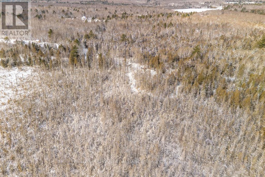 2177 Smith Road, Frontenac, Ontario  K0H 1C0 - Photo 33 - X12610916