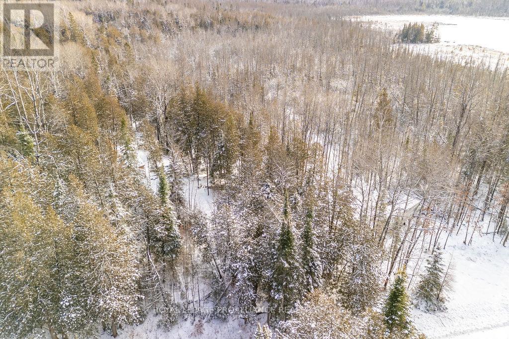 2177 Smith Road, Frontenac, Ontario  K0H 1C0 - Photo 39 - X12610916