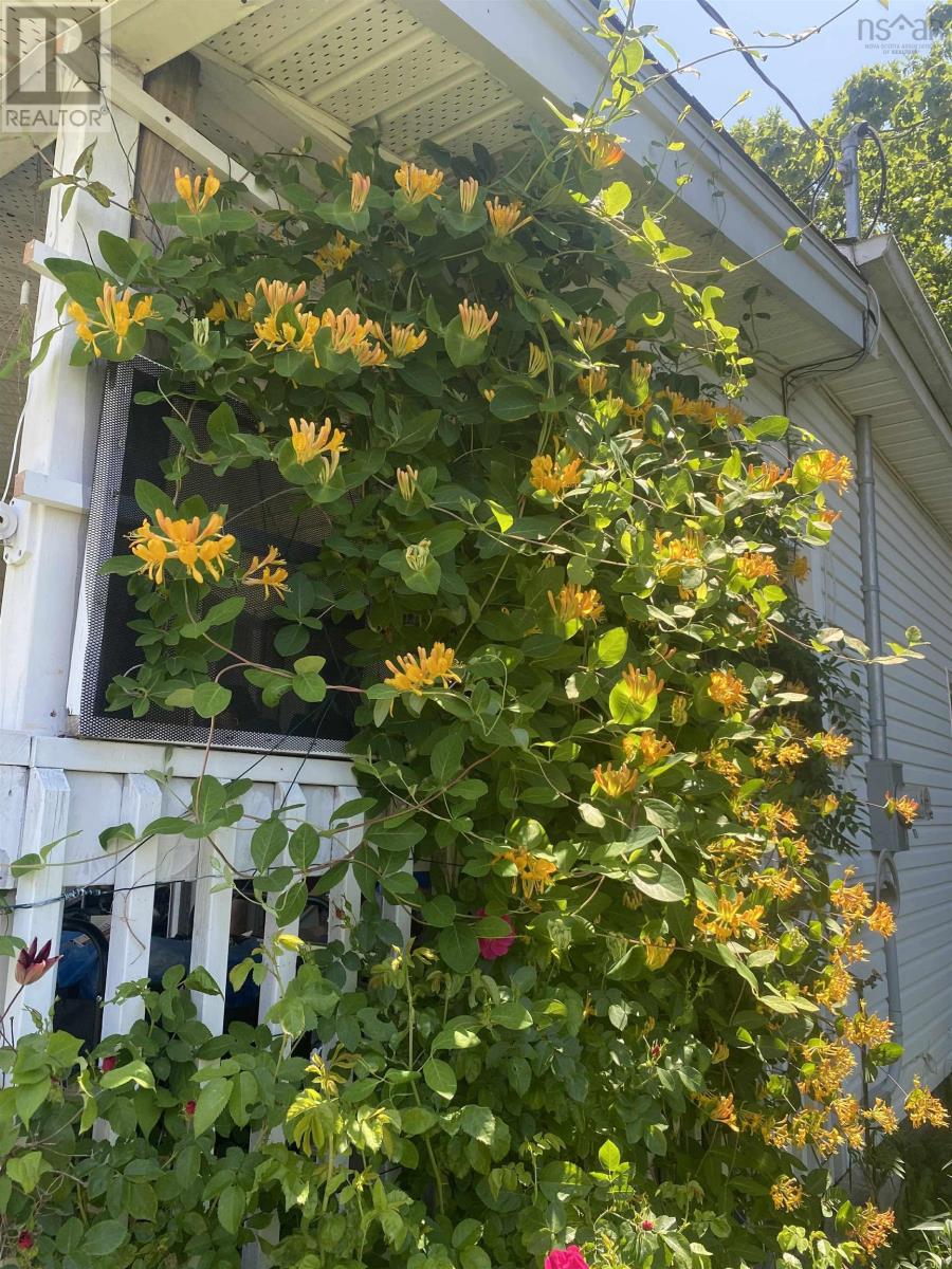 44 Courtney Road, Dartmouth, Nova Scotia  B3A 4B8 - Photo 10 - 202527844