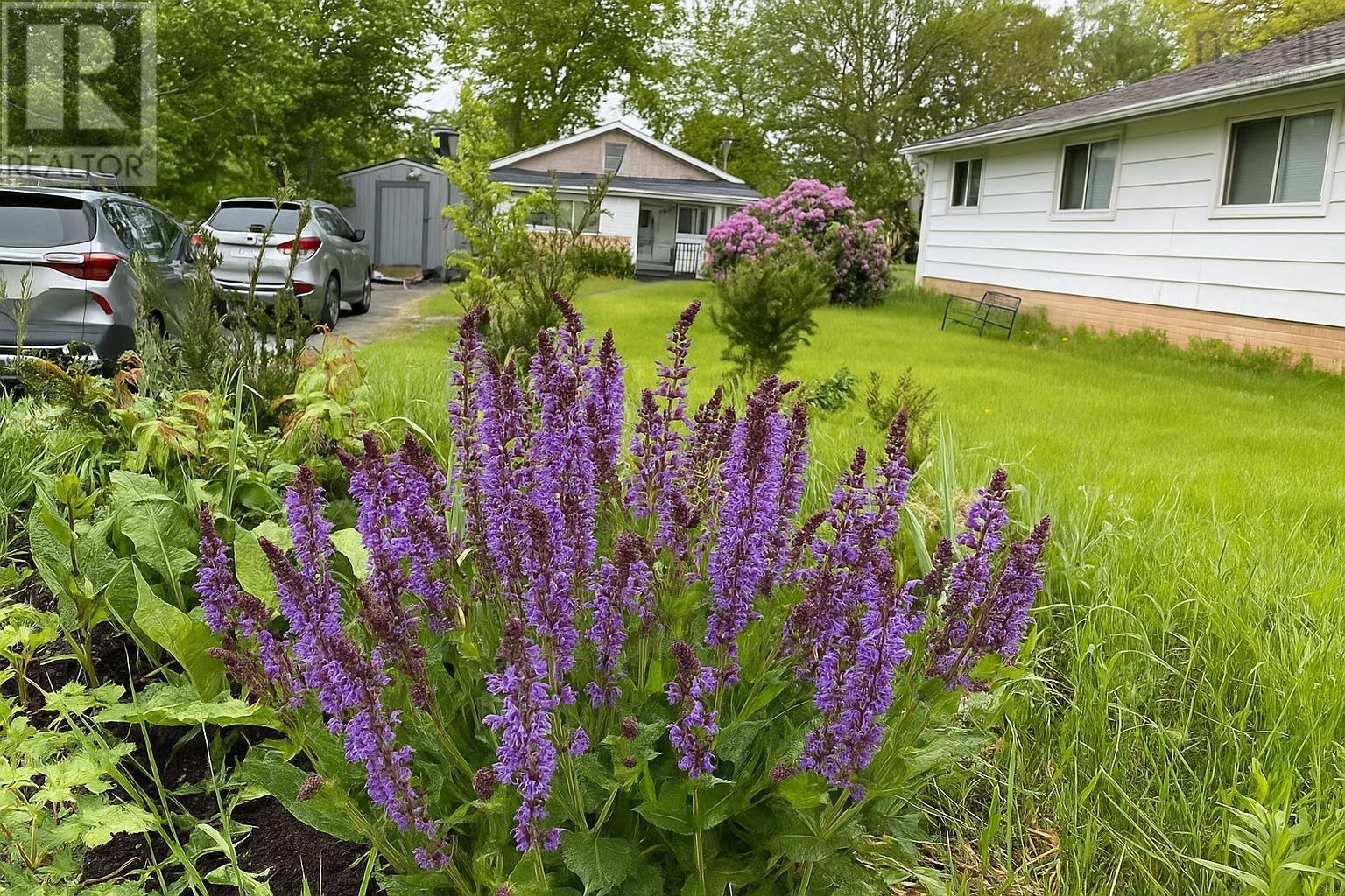 44 Courtney Road, Dartmouth, Nova Scotia  B3A 4B8 - Photo 7 - 202527844