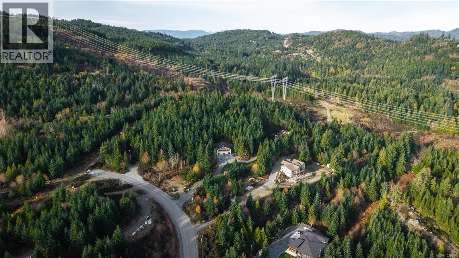 1550 Olympic Dr, Shawnigan Lake, British Columbia  V0R 2W3 - Photo 54 - 1020980