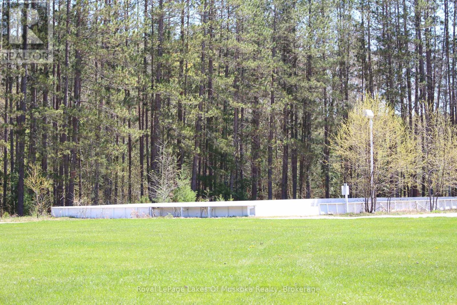 V 16 W 3 - 1020 Birch Glen Road, Lake Of Bays (Mclean), Ontario  P0B 1A0 - Photo 11 - X12611182