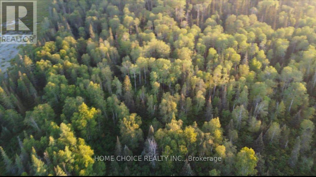 2006 Bidgood Road, Kirkland Lake, Ontario P0K 1K0 - Photo 4 - T12611168