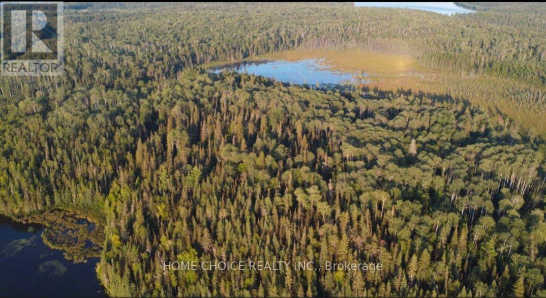 2006 Bidgood Road, Kirkland Lake, Ontario P0K 1K0 - Photo 7 - T12611168