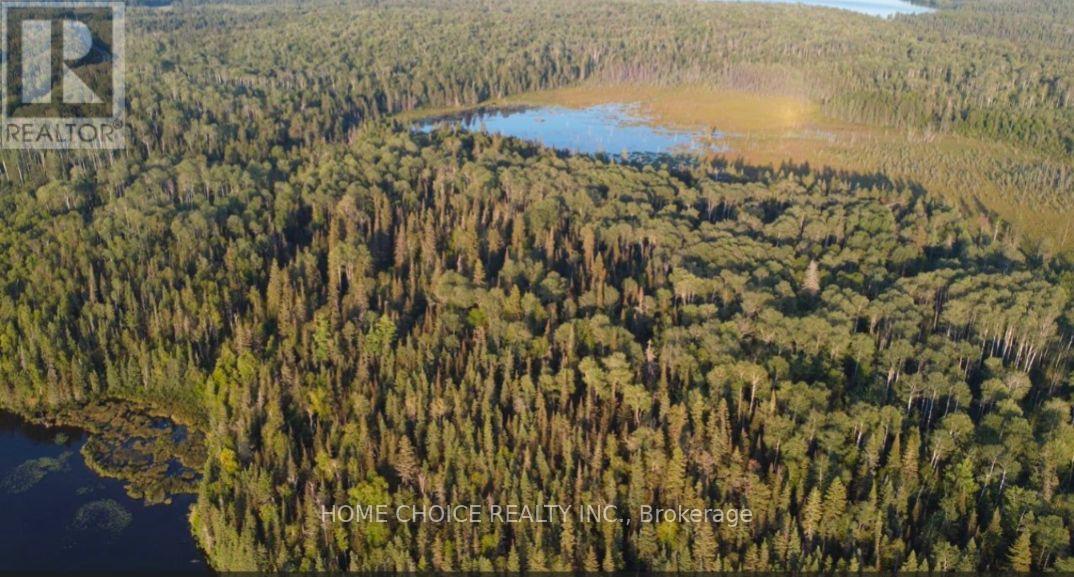 2006 Bidgood Road, Kirkland Lake, Ontario P0K 1K0 - Photo 9 - T12611168