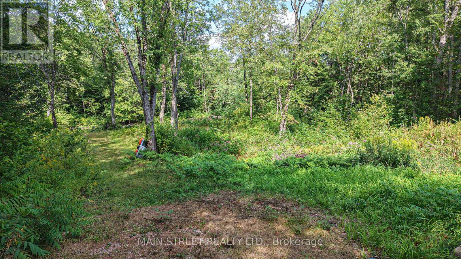 6583 Pioneer Village Lane, Ramara, Ontario  L0K 1W0 - Photo 15 - S12361149