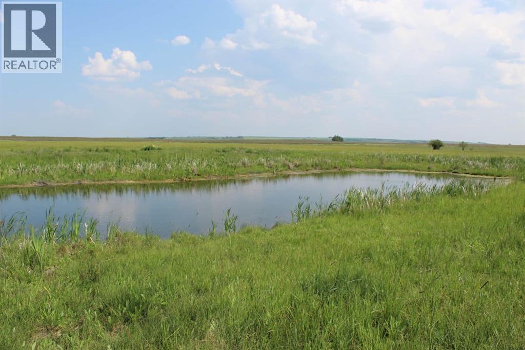 272079 Highway 547, Blackie, Alberta  T0L 0J0 - Photo 2 - A2274329