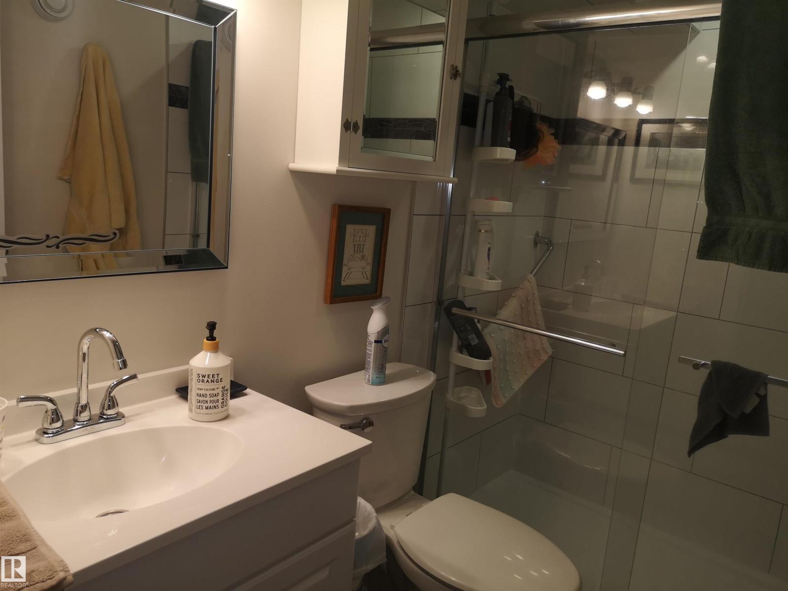 8032 70 Av Nw Nw, Edmonton, Alberta T6C 0A5 - Photo 36 - E4461068