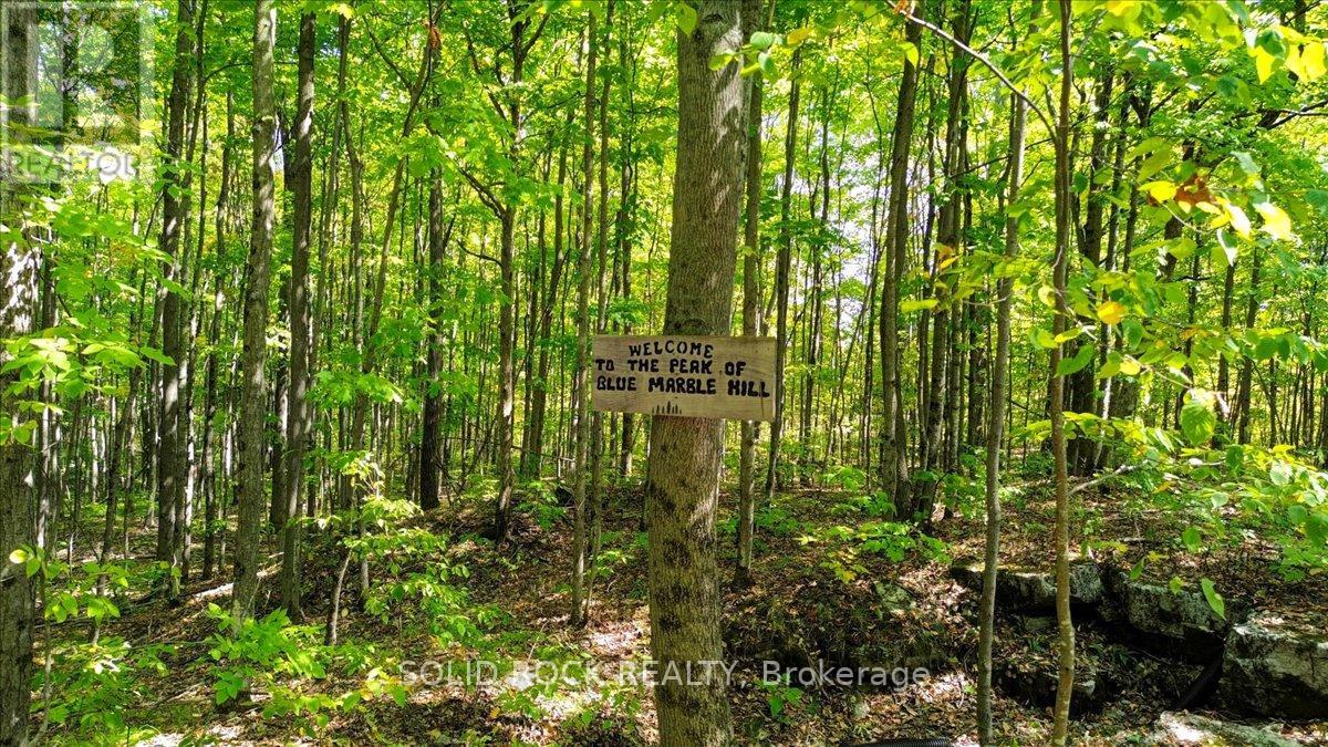 400 Pigden Road, Madoc, Ontario  K0K 2K0 - Photo 41 - X12611576