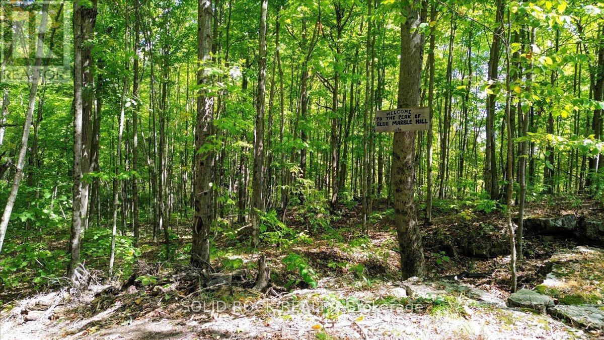 400 Pigden Road, Madoc, Ontario  K0K 2K0 - Photo 42 - X12611576