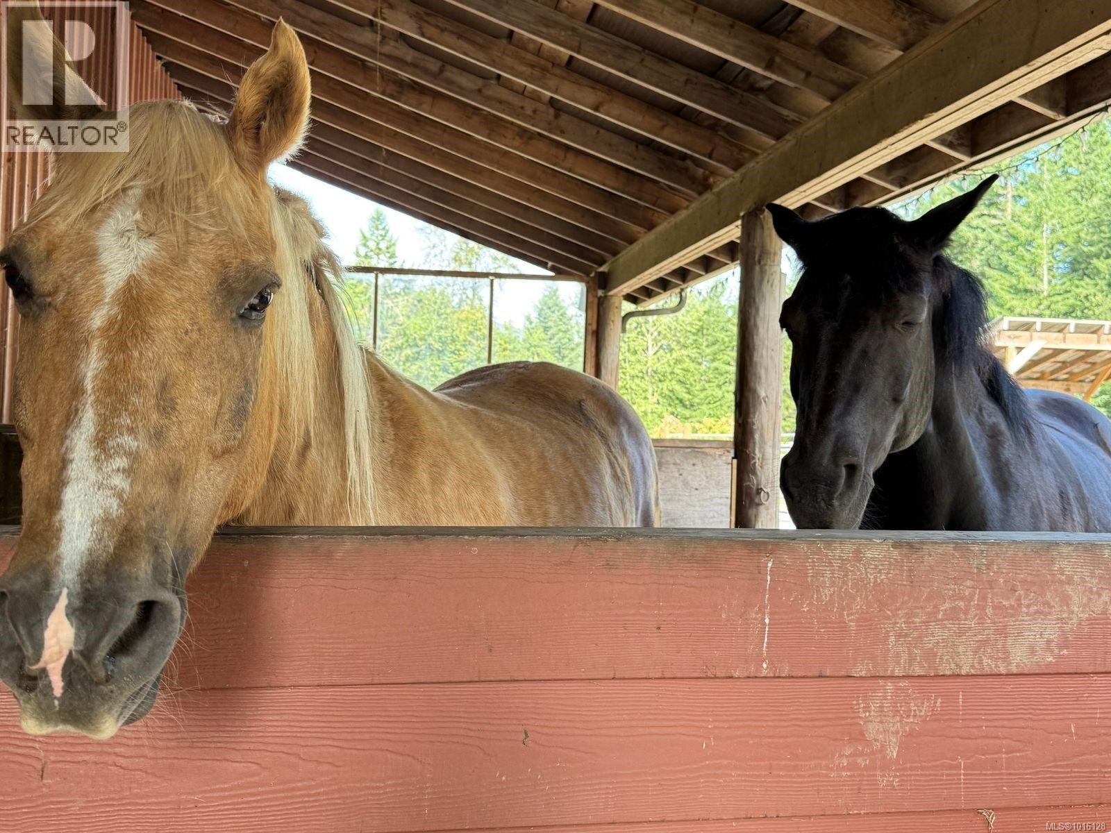 3700 Hankins Rd, Duncan, British Columbia V9L 6T2 - Photo 30 - 1016128