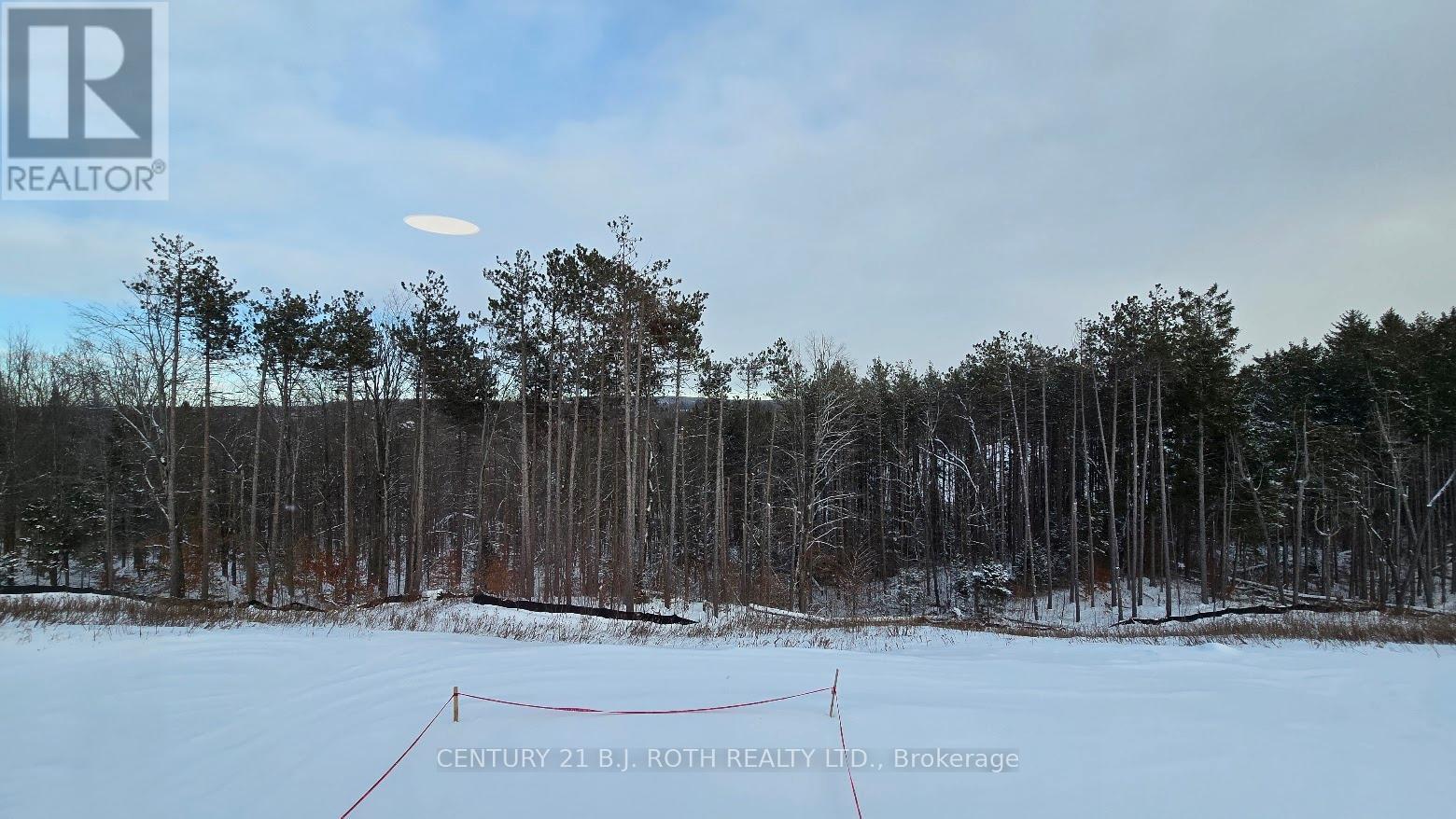 61 Ruby Ridge, Oro-Medonte (Sugarbush), Ontario  L0L 2E0 - Photo 41 - S12611886