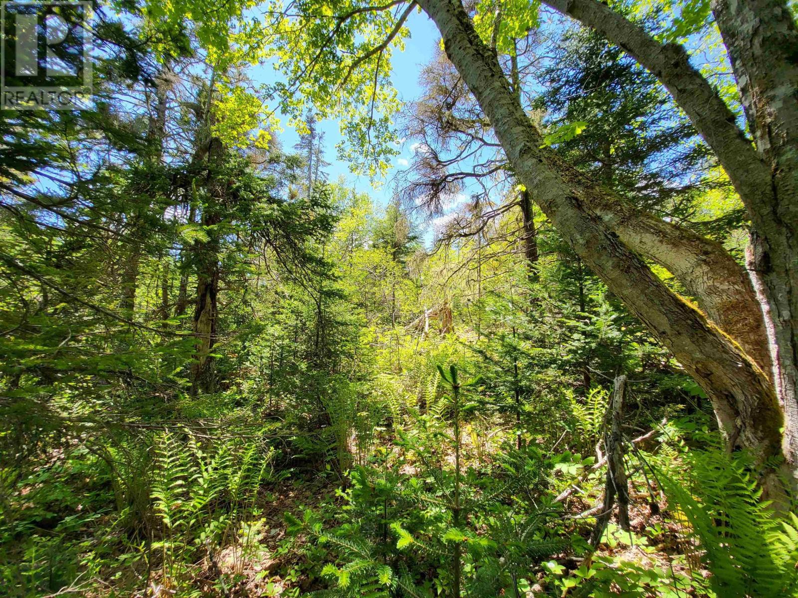 C4 & C5 Everetts Way, Hunts Point, Nova Scotia  B0T 1G0 - Photo 19 - 202528120