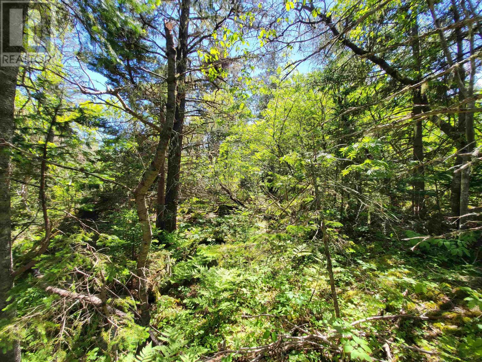 C4 & C5 Everetts Way, Hunts Point, Nova Scotia  B0T 1G0 - Photo 21 - 202528120