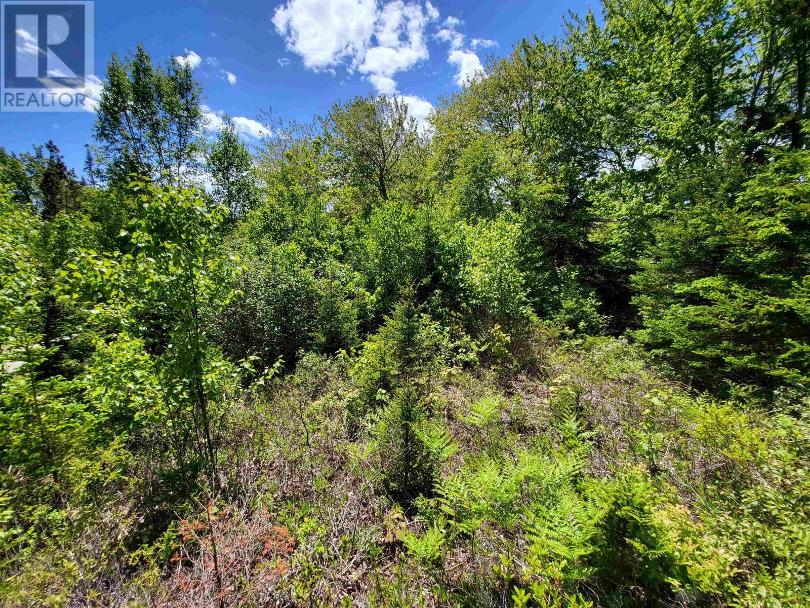 C4 & C5 Everetts Way, Hunts Point, Nova Scotia  B0T 1G0 - Photo 24 - 202528120