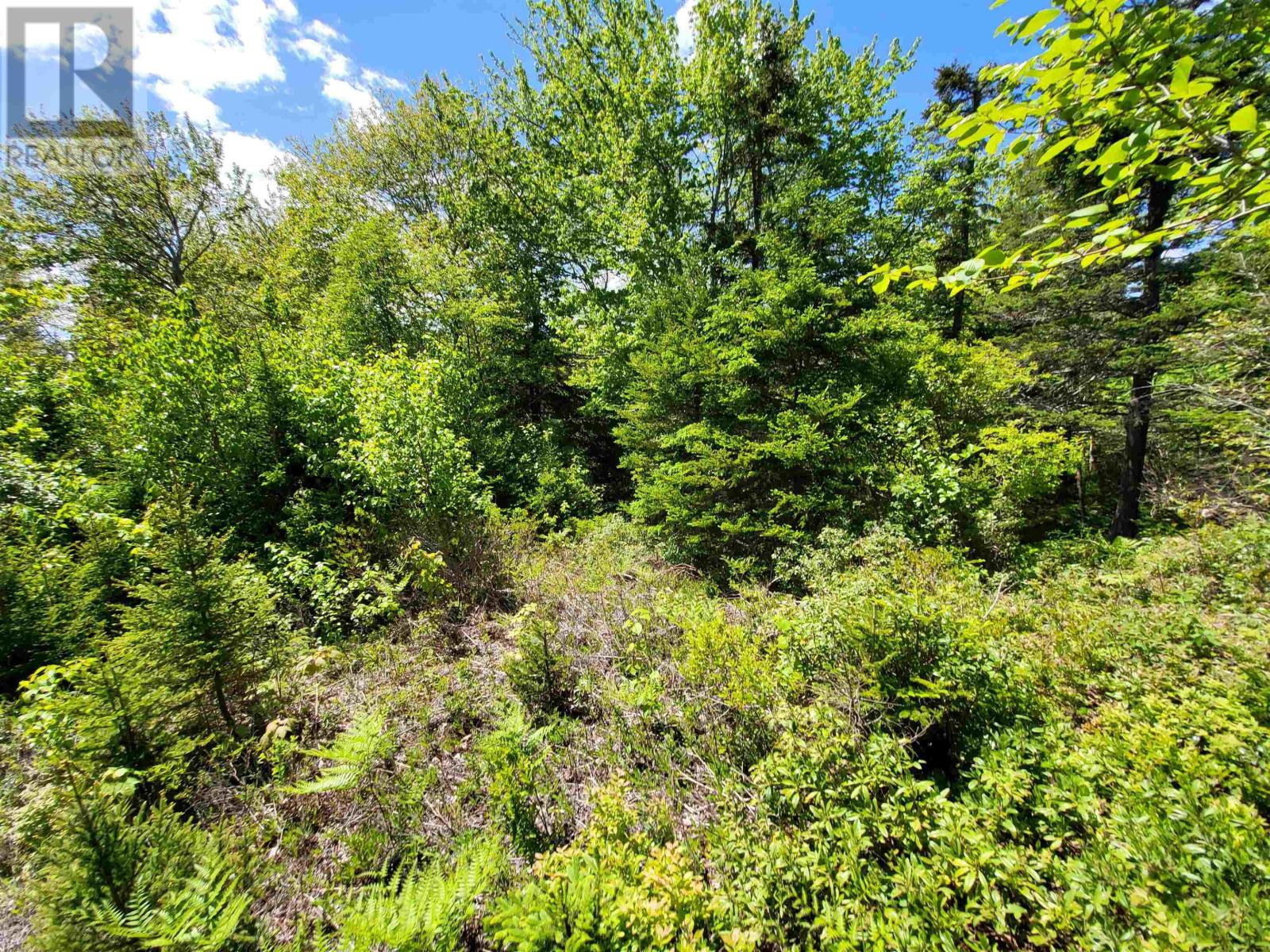 C4 & C5 Everetts Way, Hunts Point, Nova Scotia  B0T 1G0 - Photo 25 - 202528120