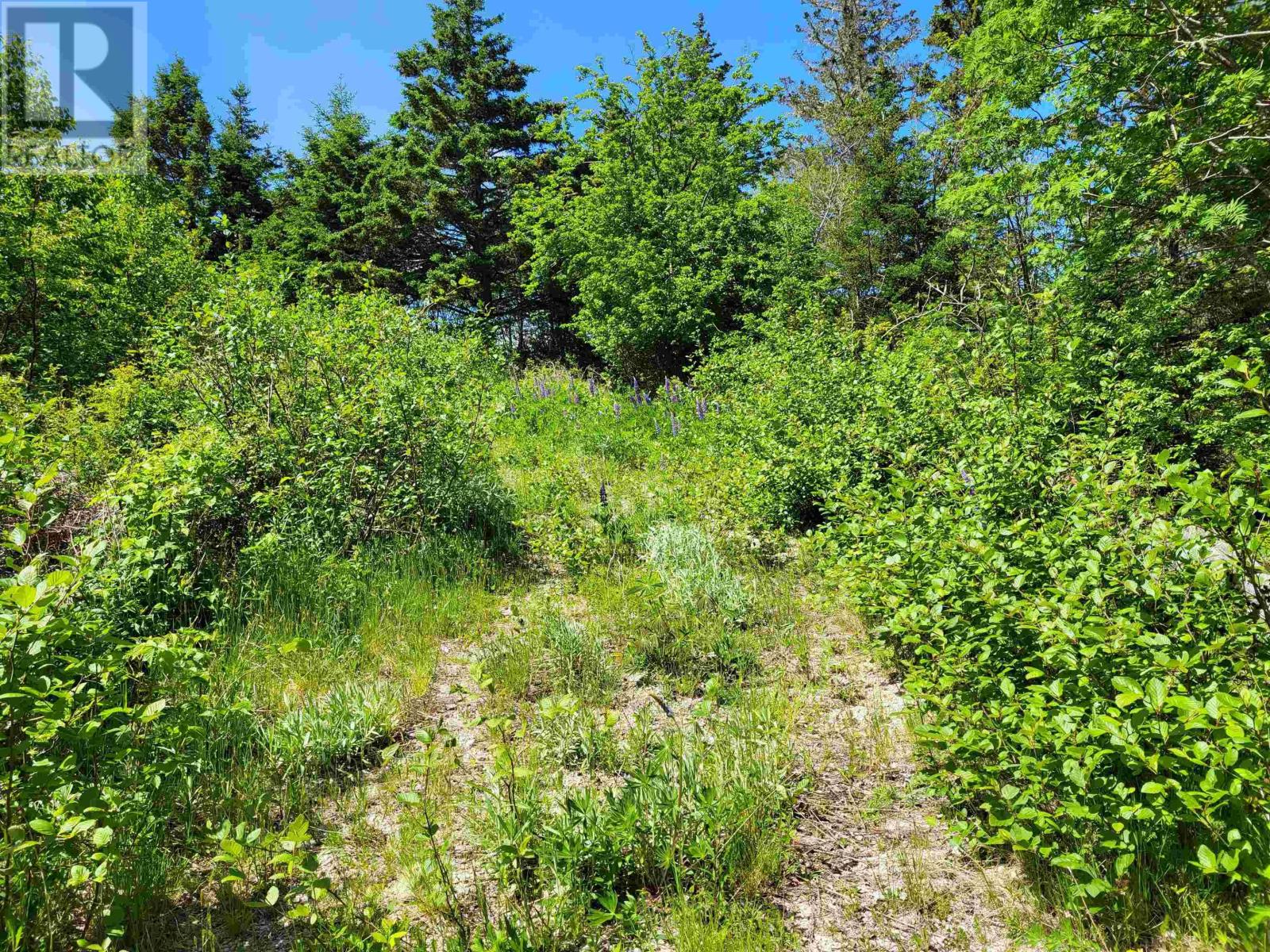 C4 & C5 Everetts Way, Hunts Point, Nova Scotia  B0T 1G0 - Photo 27 - 202528120