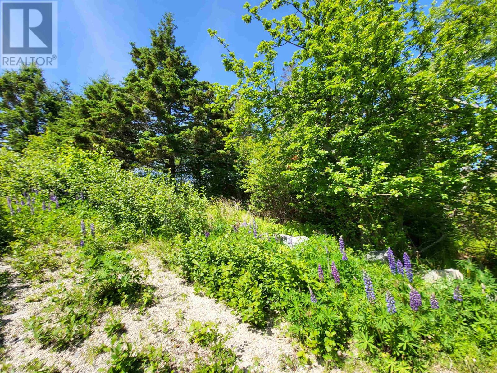 C4 & C5 Everetts Way, Hunts Point, Nova Scotia  B0T 1G0 - Photo 28 - 202528120