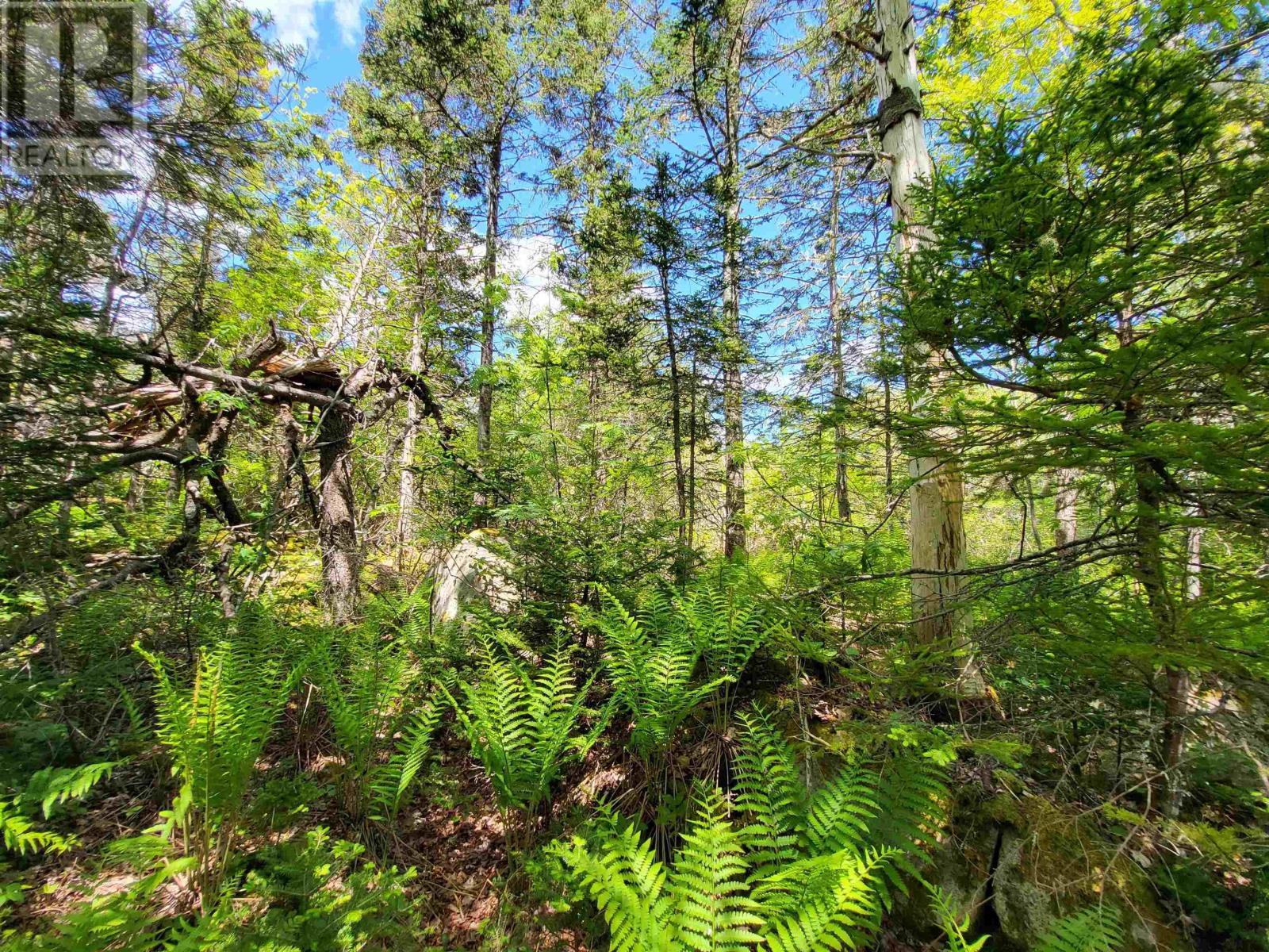 C4 & C5 Everetts Way, Hunts Point, Nova Scotia  B0T 1G0 - Photo 8 - 202528120