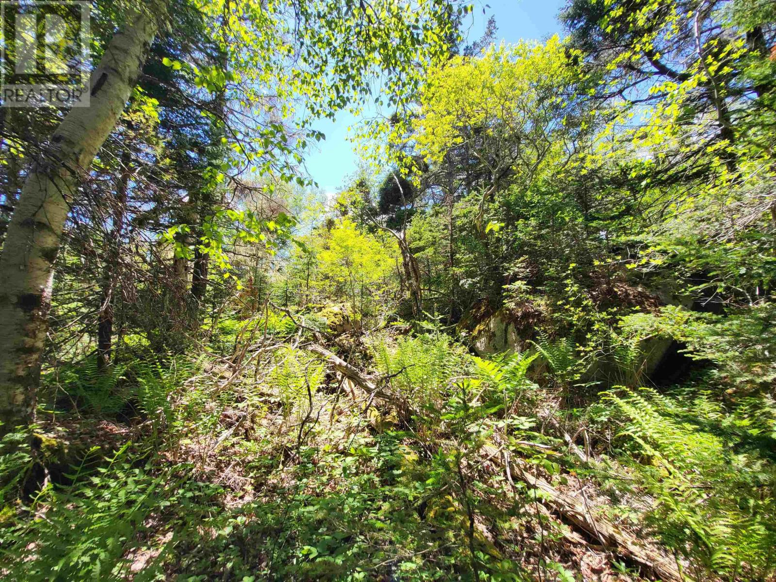 C4 & C5 Everetts Way, Hunts Point, Nova Scotia  B0T 1G0 - Photo 9 - 202528120