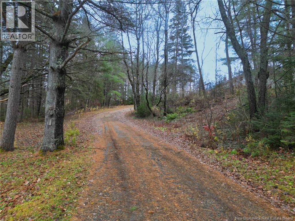 11 Birch Street, Florenceville-Bristol, New Brunswick E7L 2E7 - Photo 3 - NB131035