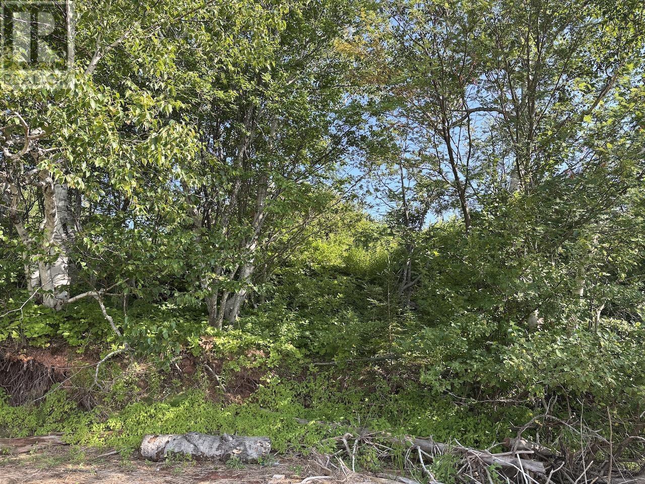 9372 Highway 6 Highway, Pugwash, Nova Scotia  B0K 1L0 - Photo 45 - 202518592