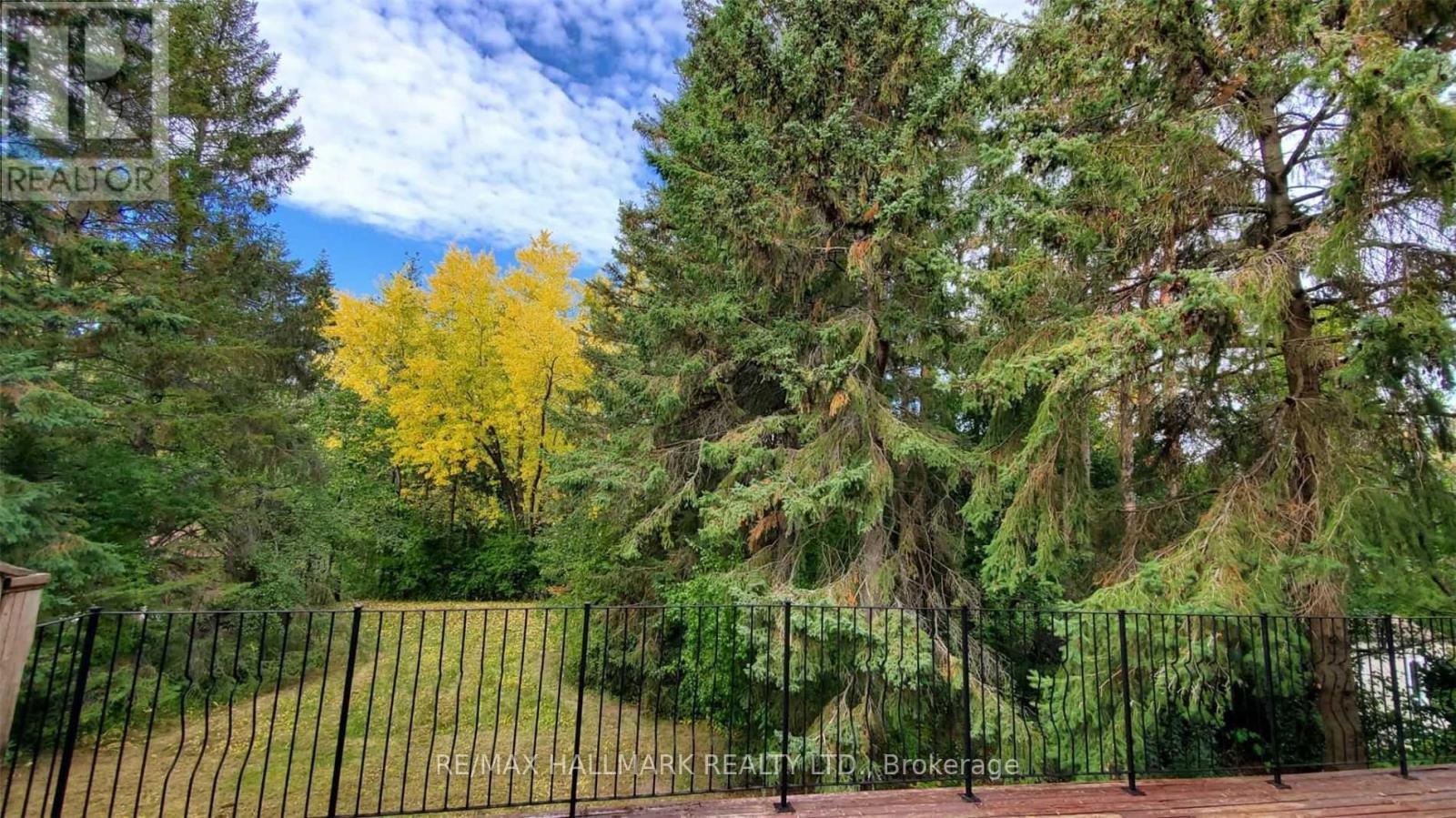 29 Rosegarden Crescent, Richmond Hill, Ontario  L4E 2P4 - Photo 19 - N12611972