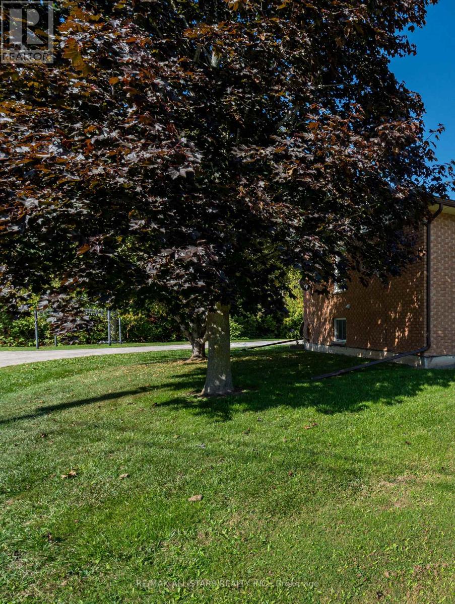 103 D Rita Crescent, Kawartha Lakes, Ontario  K0L 2W0 - Photo 17 - X12612006