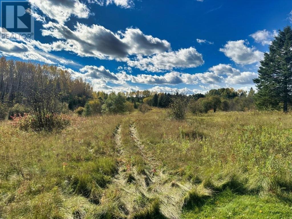267 Sitch Road, Kakabeka Falls, Ontario P0T 1W0 - Photo 3 - TB253245