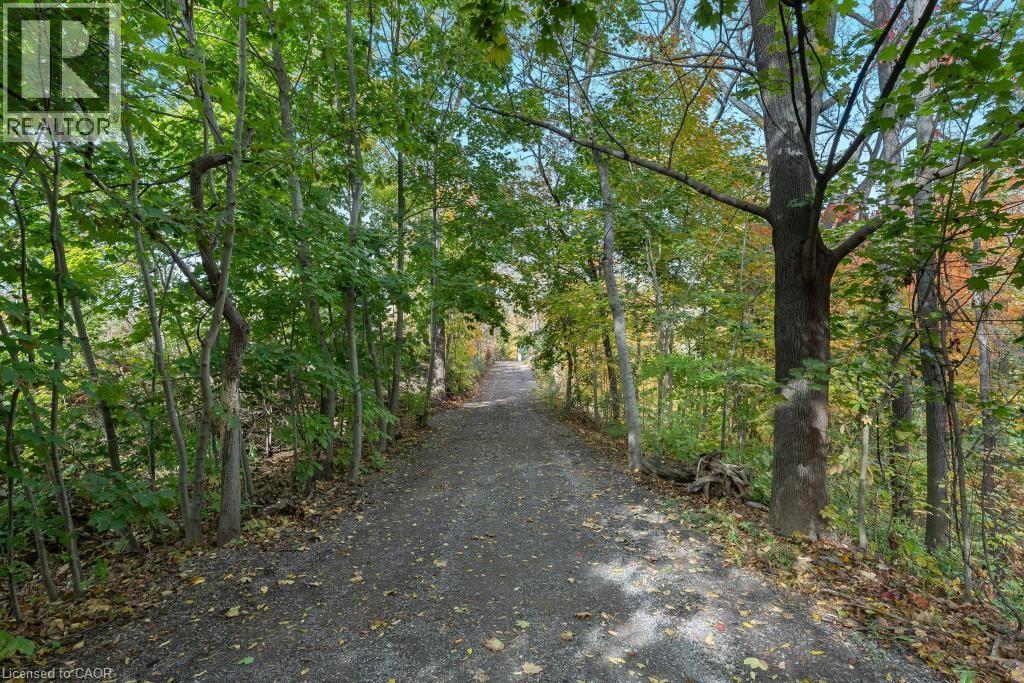 3169 King Street, Vineland, Ontario  L0R 2C0 - Photo 11 - 40792855