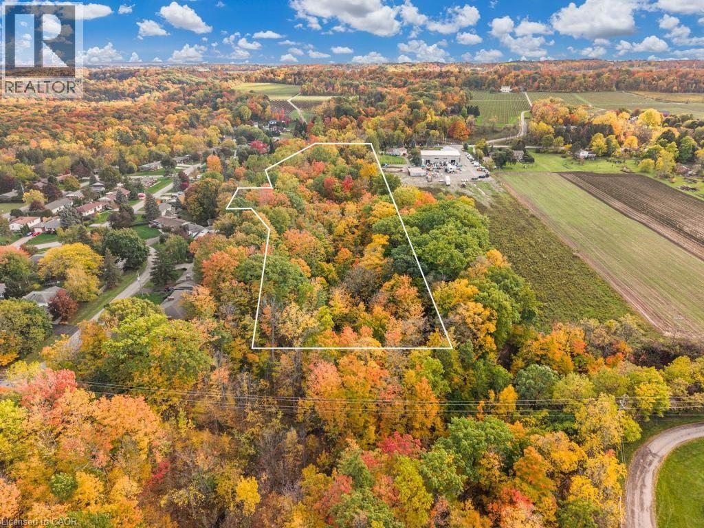 3169 King Street, Vineland, Ontario  L0R 2C0 - Photo 2 - 40792855