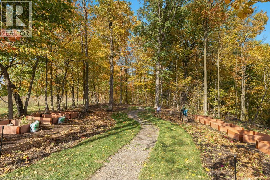 3169 King Street, Vineland, Ontario  L0R 2C0 - Photo 48 - 40792855