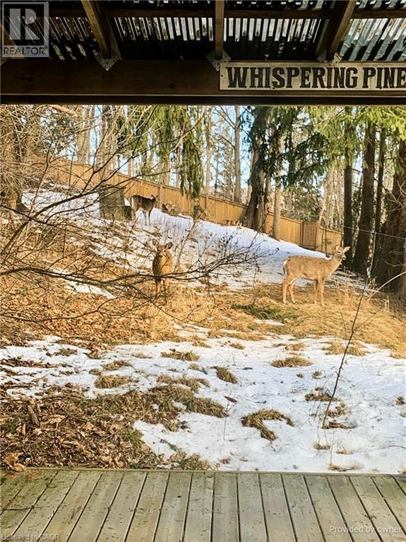 6 Begue Street, Dundas, Ontario  L9H 2N2 - Photo 36 - 40786972