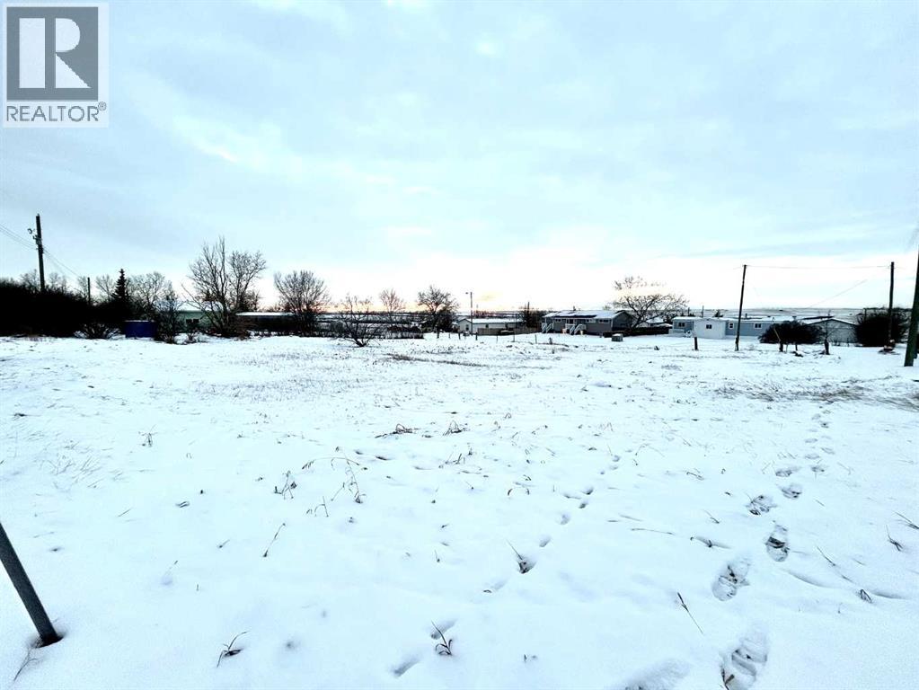 114 Alberta Avenue S, Swalwell, Alberta  T0M 1Y0 - Photo 3 - A2273229