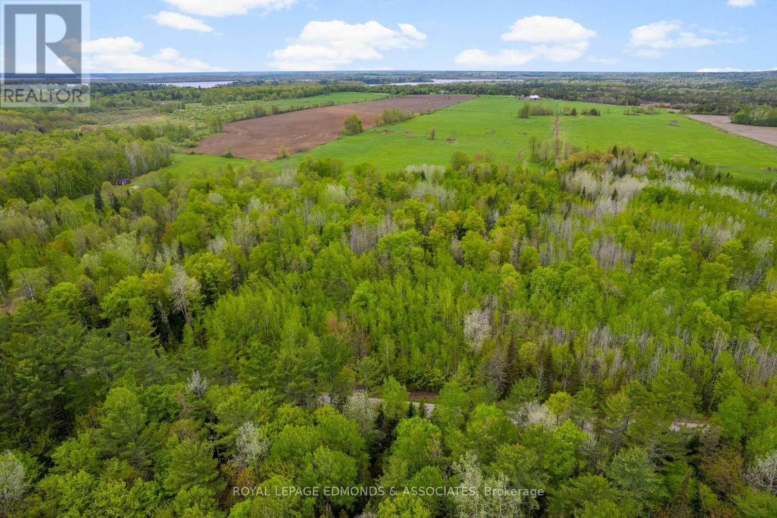 0 Wright Road, Whitewater Region, Ontario K0J 2L0 - Photo 2 - X12612162