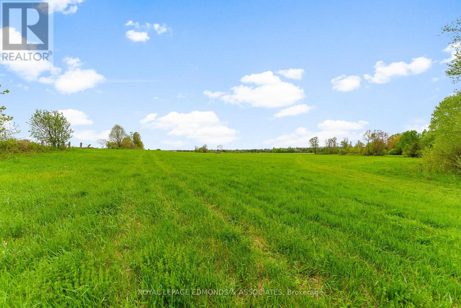 0 Wright Road, Whitewater Region, Ontario K0J 2L0 - Photo 9 - X12612162