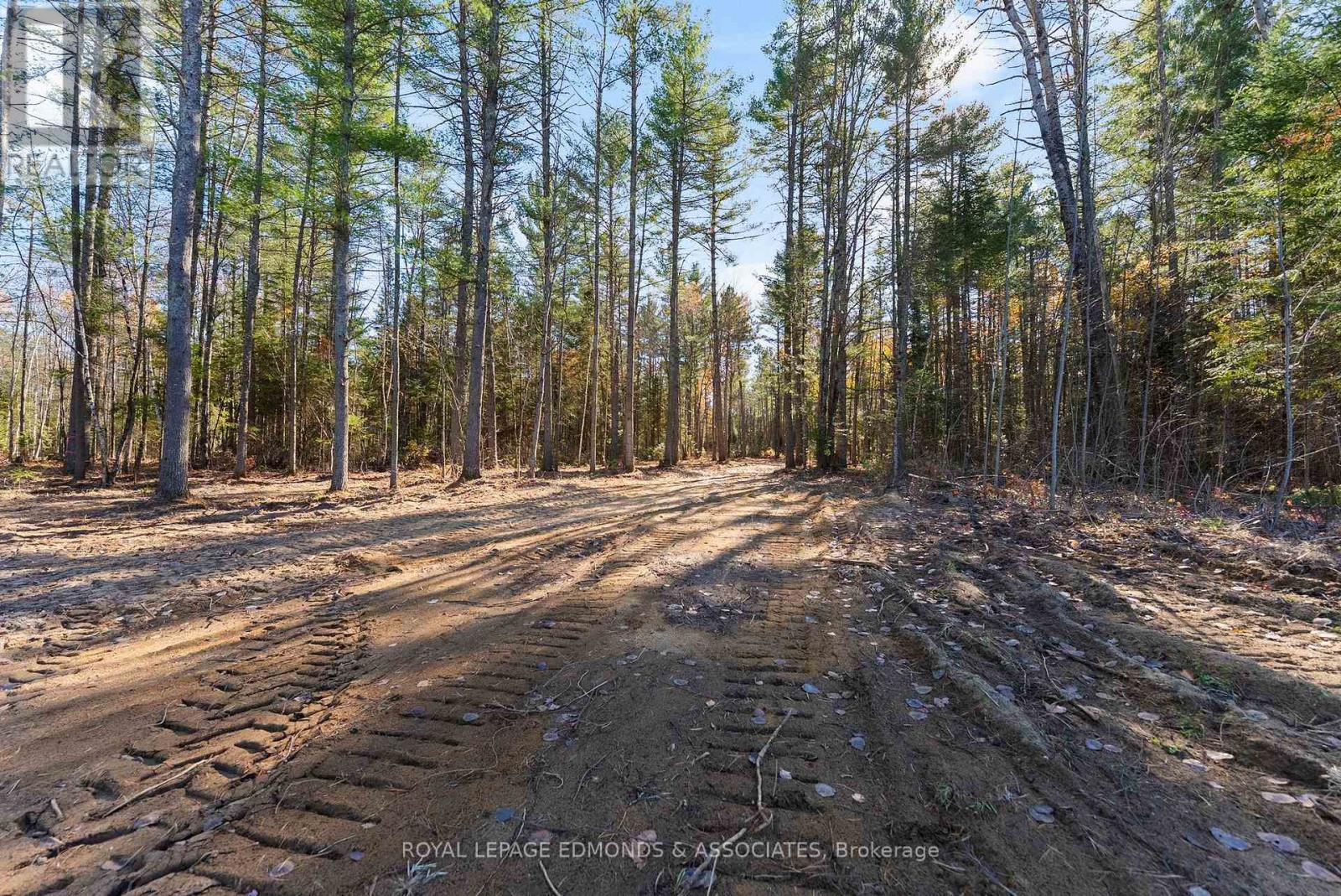 100 Nangor Trail, Whitewater Region, Ontario K0J 2L0 - Photo 4 - X12612216