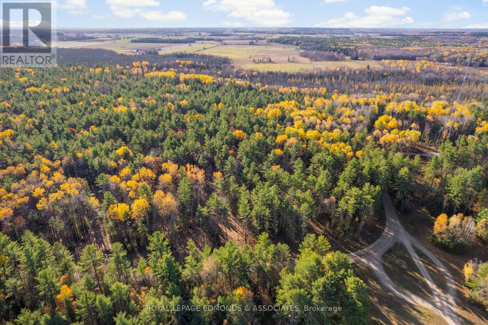 100 Nangor Trail, Whitewater Region, Ontario K0J 2L0 - Photo 8 - X12612216