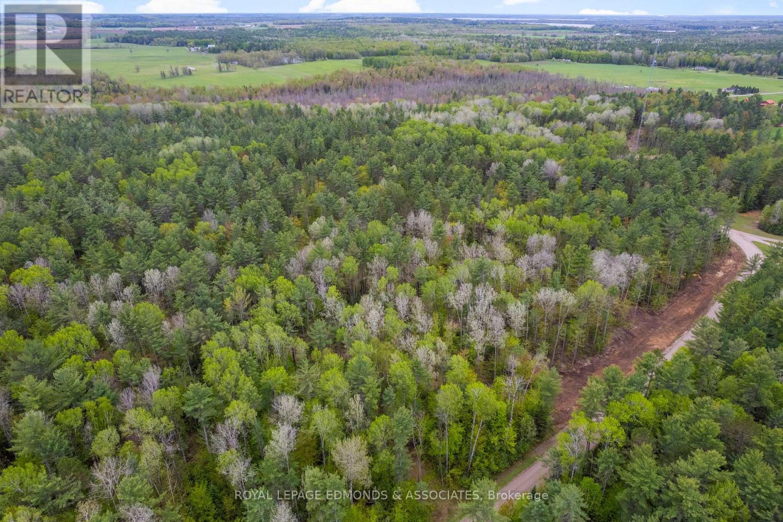 0000 Nangor Trail, Whitewater Region, Ontario K0J 2L0 - Photo 4 - X12612258